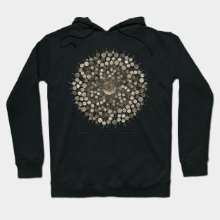 Ball Ray Burst Hoodie